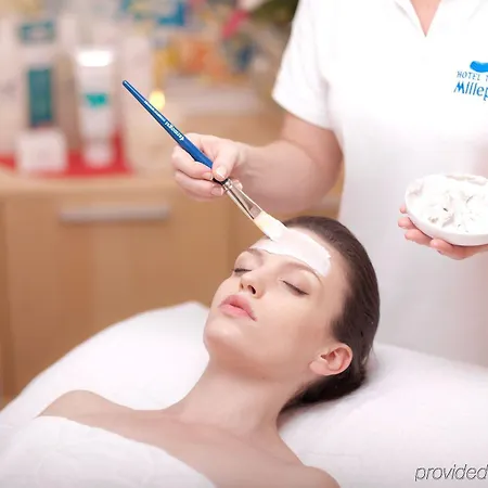 Terme Millepini ホテル 4*